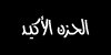 35.jpg (1129 bytes)