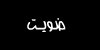 38.jpg (810 bytes)