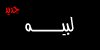 44.jpg (944 bytes)
